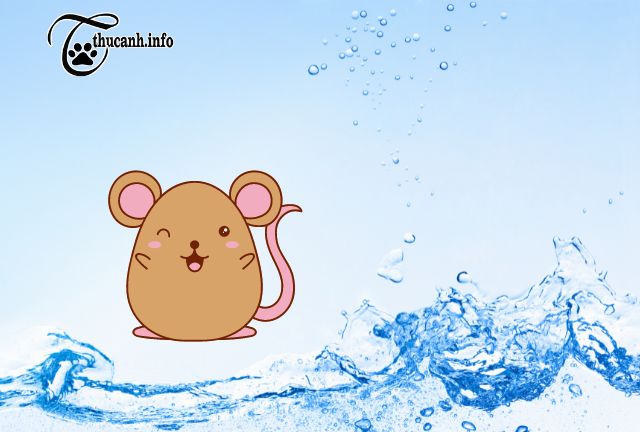 do hamsters drink a lot of water