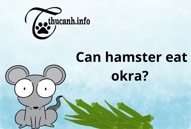 Are okara good for hamsters?