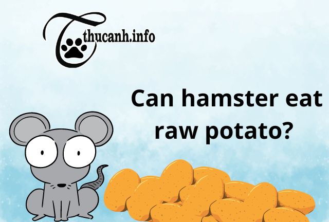 Are raw potato good for hamsters?