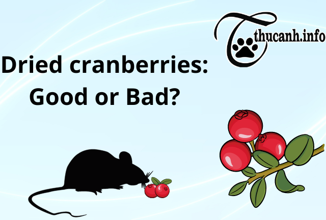 Alternatives to Dried Cranberries