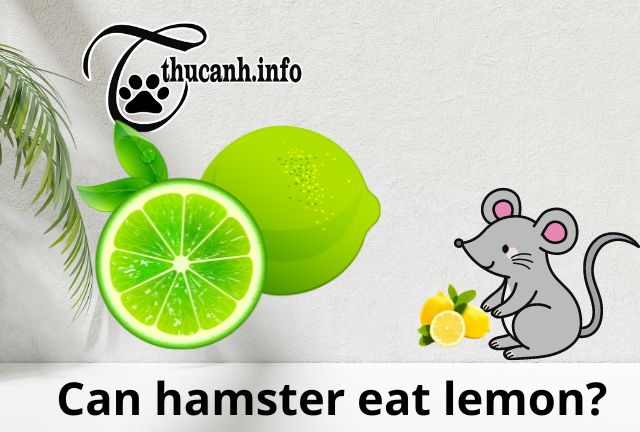 Can Hamsters Eat Lemon? Unveiling the Citrus Mystery for Pet Owners