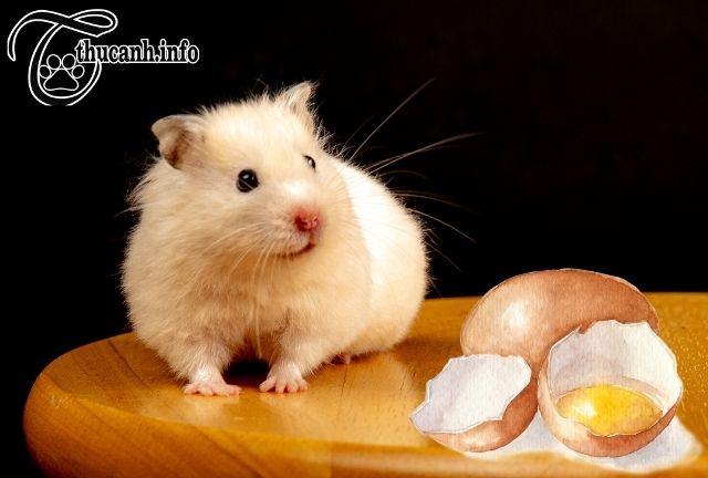 How many eggs should a hamster eat in a day?