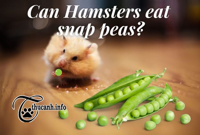 Is it good or bad for hamsters to eat snap peas?