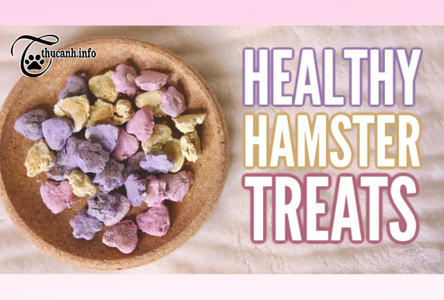 Delight Your Hamsters: Learn How to Make Treats at Home