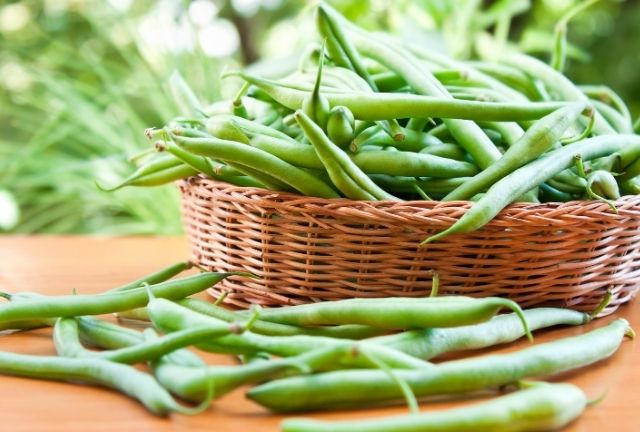 Green bean images