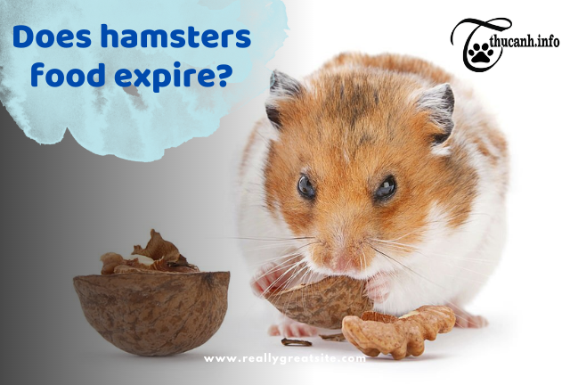 Hamster Food Expiry: What You Must Know