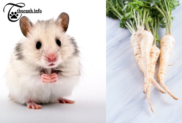 Questions about hamsters and parsnips