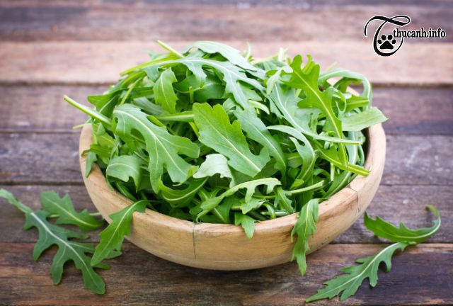 Leafy Greens for Hamsters: Arugula and Alternatives